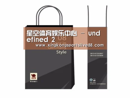 项目名称十四