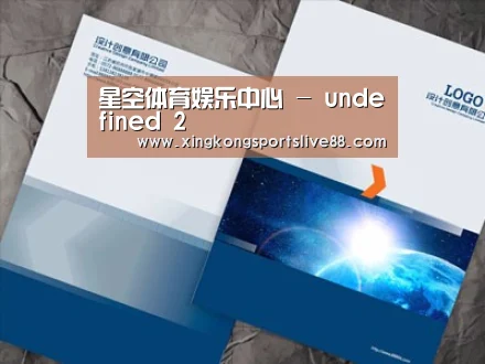 项目名称十